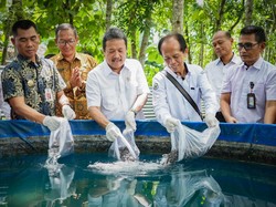 Trenggono: Lele Pasarnya Besar di DIY, Berapapun Produksinya Terserap
