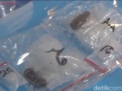 BNNP Jambi Ungkap Modus Baru Peredaran Sabu Dicampur Kuaci