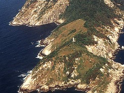 Pulau Terlarang yang Jadi Markas Ular Beracun di Brasil
