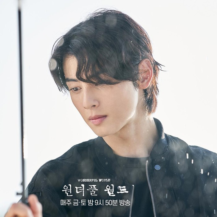Cha Eun Woo dalam Wonderful World / Foto: Soompi