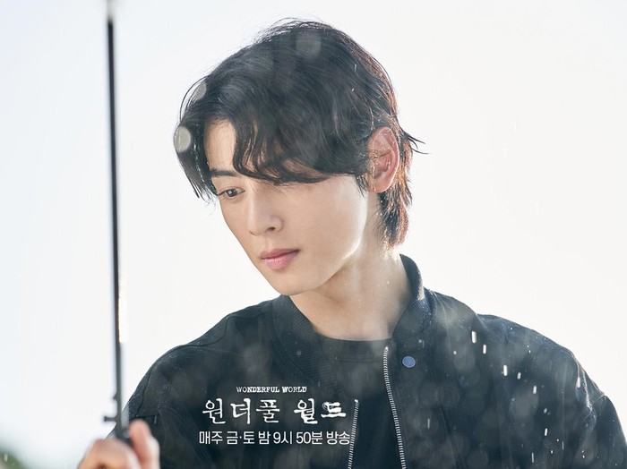 Cha Eun Woo dalam Wonderful World / Foto: Soompi
