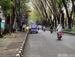 Tanggapan Peneliti ITS soal Pohon Tumbang Telan Korban Jiwa di Surabaya