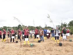 2 Hektare Lahan Kritis Dekat Bandara Pangkalpinang Ditanami Pohon
