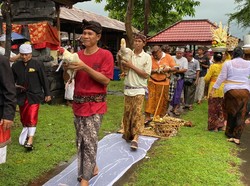 Melihat Prosesi Hewan Kurban Disucikan Saat Upacara Mapepada