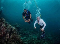 Bawa Kerang Laut ke Darat, Turis Jadi DPO Polisi Thailand