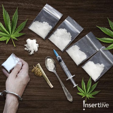 Kepala BNN Sebut Masyarakat dan Artis Narkoba Tak Akan Ditangkap, Tapi...