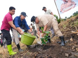 Pj Gubernur Sulsel Dorong Industri Nangka Madu, Target Tanam 2 Juta Pohon