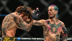 Sepupu Khabib Bongkar Cara Hajar Juara Kelas Bantan UFC O'Malley