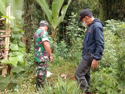 Kronologi Penemuan Potongan Tubuh Bayi Digigit Anjing di Toraja Utara