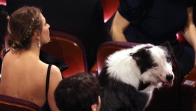 'Matt Damon' Dikencingin Messi the Dog di Akhir Acara Oscar 2024