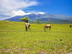 Gunung Tambora Ditutup Sampai 13 April, Total 3 Bulan