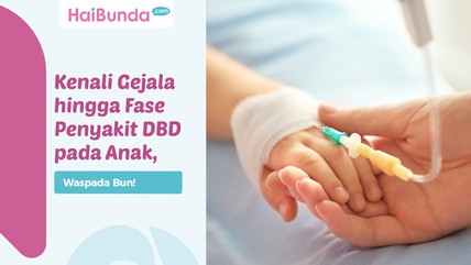 Detik Network