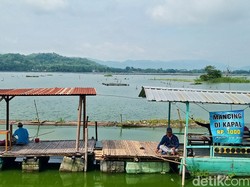 Mencoba 6 Aktivitas Seru di Wisata Rowo Jombor Klaten