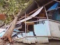 Pohon Tumbang Diterjang Angin Kencang di Blitar Timpa Warung hingga Rusak