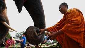 FOTO: Kala Thailand Rayakan Hari Gajah Nasional