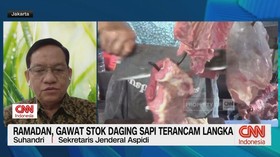 VIDEO: Bulan Ramadan, Stok Daging Sapi Terancam Langka