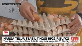 VIDEO: Harga Telur Tinggi Masyarakat Pusing