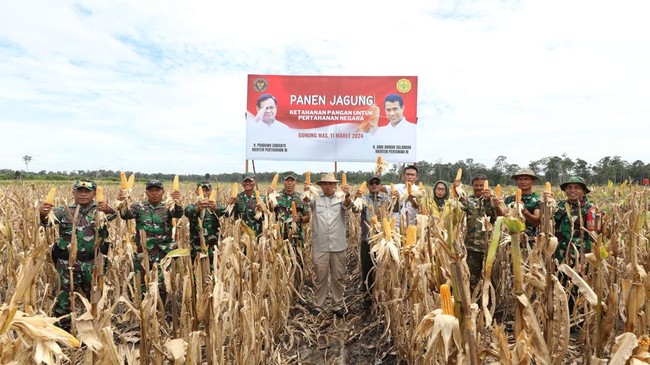 Proyek food estate sejak awal kemunculannya menuai kritik dari publik. Awal pekan ini, Kemenhan melakukan panen raya jagung.