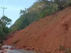 Jalan Nasional di Jambi Longsor Lagi, Anggota DPR Soroti Perambahan Hutan