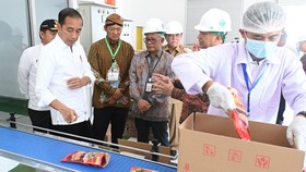 FOTO: Jokowi Resmikan Pabrik Minyak Makan Merah di Deli Serdang