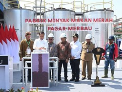 Pabrik Minyak Makan Merah yang Diresmikan Jokowi Bisa Produksi 7 Ton/Hari