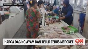 VIDEO: Harga Daging Ayam Dan Telur Terus Meroket