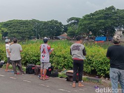 Melihat Bisnis Adu Layangan di BKT, Dicari Pembeli Saat Ngabuburit