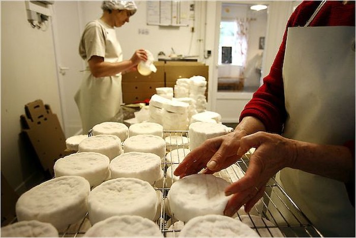 Mengenal Keju Camembert, Keju yang Terancam Punah