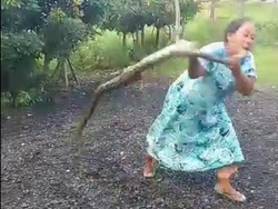 Viral Emak-emak Banting Ular, Ini yang Harus Dilakukan Kalau Alami Hal Sama