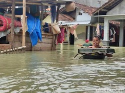 Tanggul Sungai Wulan Jebol Lagi, Pantura Demak Lumpuh-Warga Ngungsi