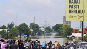 Jokowi Turun Tangan Tinjau Penanganan Banjir Demak Hari Ini