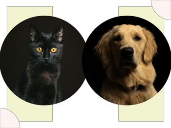 Menelaah Karakter Manusia lewat Istilah Black Cat dan Golden Retriever