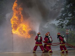 Kabel Listrik Menjuntai di Ragunan Jaksel Terbakar, Sudah Padam