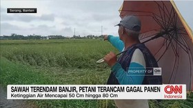 VIDEO: Sawah Terendam Banjir, Petani Terancam Gagal Panen