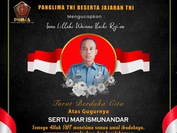 1 Prajurit TNI Gugur Saat Kontak Tembak dengan KKB di Puncak Jaya