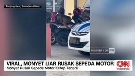 VIDEO: Viral, Monyet Liar Rusak Sepeda Motor