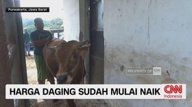VIDEO: Harga Daging Sudah Mulai Naik