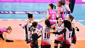 Lawan Pink Spiders di Semifinal, Red Sparks Bisa Tiru Momen Putaran 1