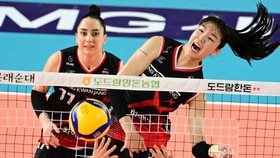 Middle Blocker Red Sparks Incar Ratu Voli Korea di Semifinal
