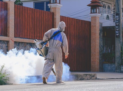 Bukan Fogging, Begini Cara Efektif Berantas DBD di Indonesia