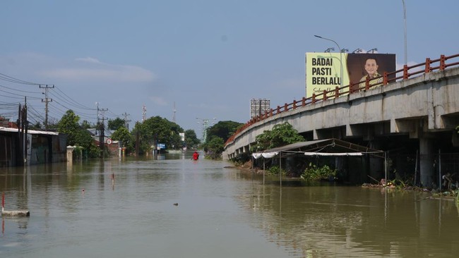 AHY: 115 Ribu Hektare Sawah Pantura Terendam Rob, Giant Sea Wall Jadi Solusi