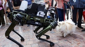 FOTO: Robot Anjing Beraksi Atur Lalu Lintas, Curi Perhatian Masyarakat