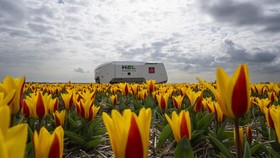 FOTO: Robot AI Bermata Elang Pengendus Penyakit Bunga Tulip