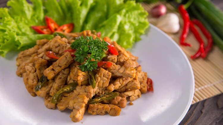 ilustrasi orek tempe