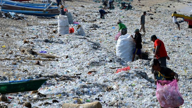 Tempat pengolahan sampah terpadu (TPST) Tahura Ngurah Rai, Denpasar, Bali ditutup karena sudah tidak mampu mengolah sampah.