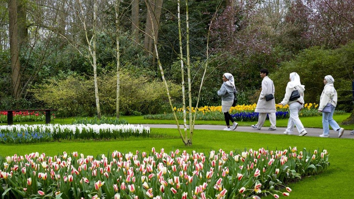 FOTO: Terpesona Taman Tulip Terbesar di Dunia, Ada Tulip King Charles