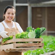Cara Menyimpan Sayuran agar Awet dan Tetap Segar Selama Ramadan