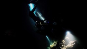 FOTO: Misi Thailand Selamatkan Terumbu Karang dari 'Laut Mendidih'