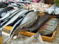KKP Prediksi Kebutuhan Ikan Selama Ramadan Capai 1,64 Juta Ton