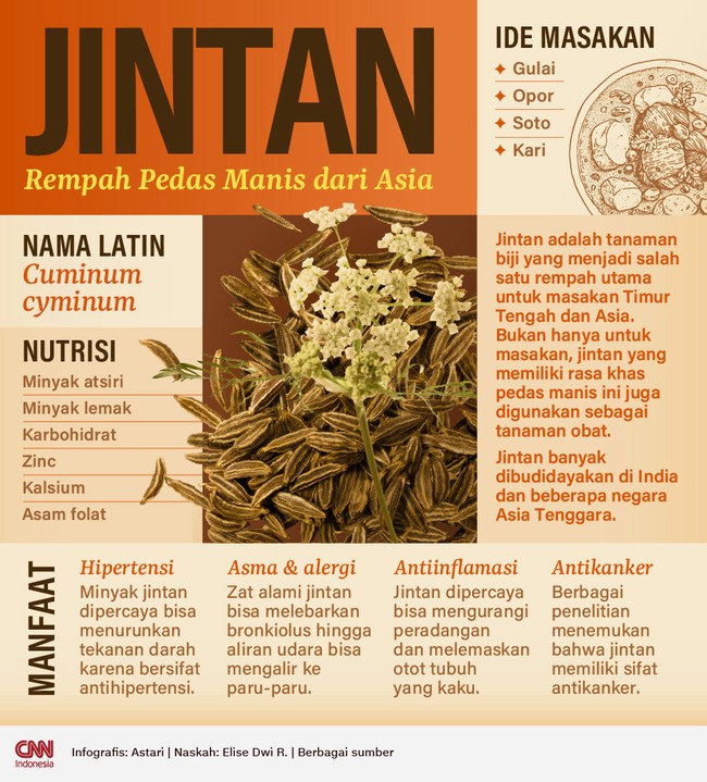 Jintan adalah tanaman biji yang menjadi salah satu rempah utama untuk masakan Timur Tengah dan Asia. 